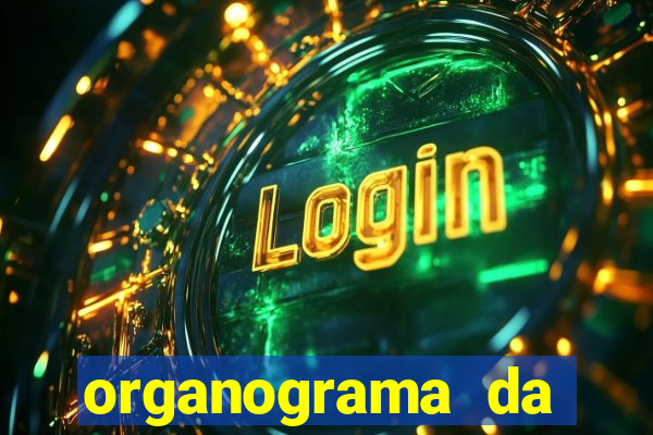 organograma da cacau show